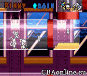 Pinky and the Brain – The Masterplan